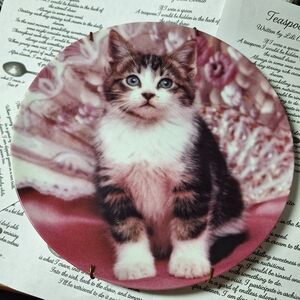 Adorable Cat Decorative Plate
